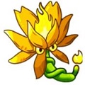 植物大战僵尸融合版 手机