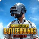 pubg地铁逃生 2025