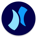 Niagara Launcher 汉化免付费版
