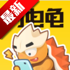闪电龟