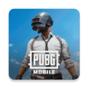 pubg绝地求生