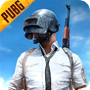 pubg国际服地铁逃生